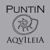 Vini Puntin