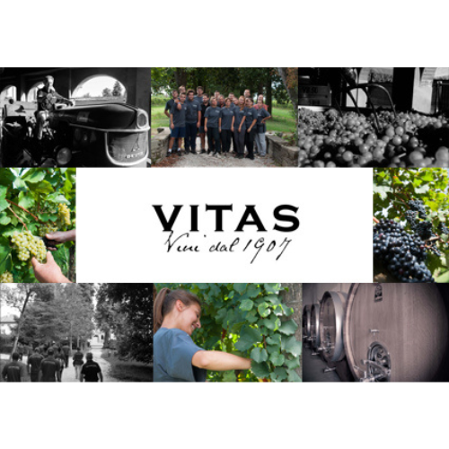 ROMANO VITAS & CO. srl agricola