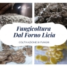 Azienda agricola Dal Forno Licia