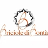 Briciole di Bontà