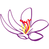 Zafferano Friuli