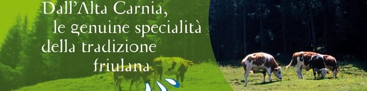 bandiera
