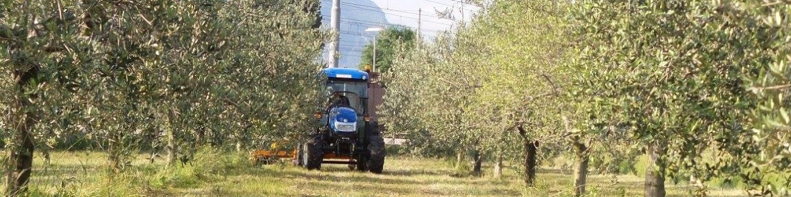 bandiera